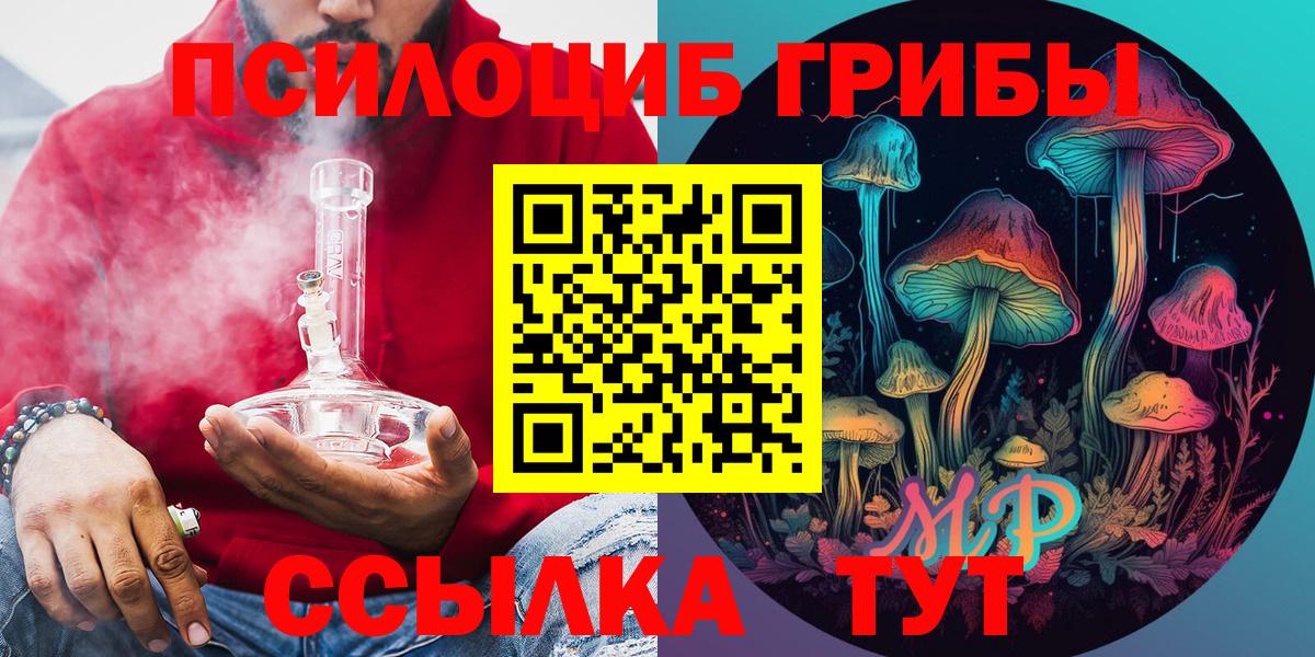Галлюциногенные грибы Psilocybine cubensis Клинцы