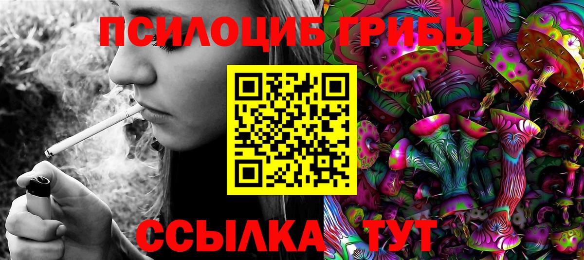 Клинцы  Псилоцибиновые грибы Cubensis  Вход с VPN  Галлюциногенные грибы прущие грибы 